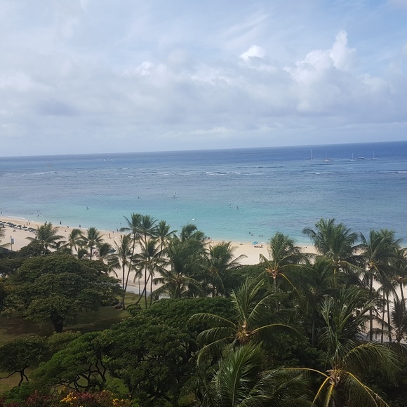 Meet your Posher, Athena - Picture 1 of 1